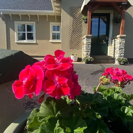 The Self Catering