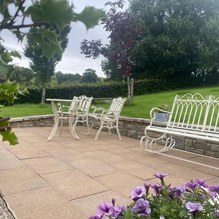 Daire The Donegal Town